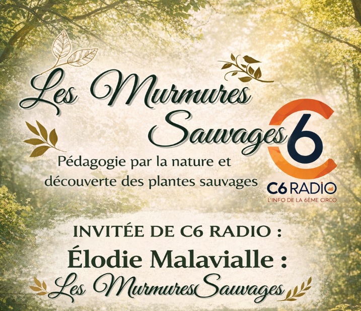 À Saint-Médard-en-Jalles, Élodie Malavialle fait dialoguer le public avec la nature grâce à sa structure: Les Murmures Sauvages